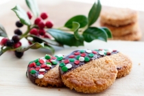 Ginger shortbread cookies/biscuiti cu ghimbir &#8211; vegani, GF
