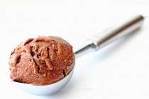 Coconut, chocolate and goji berries ice cream (Bianca)