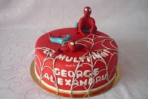 Tort Spiderman 2