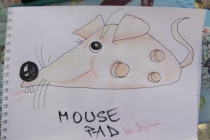 Mouse pad