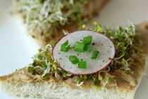 Sandwichuri cu pateu vegetal si seminte incoltite