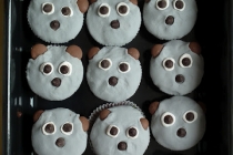 Koala-cupcakes